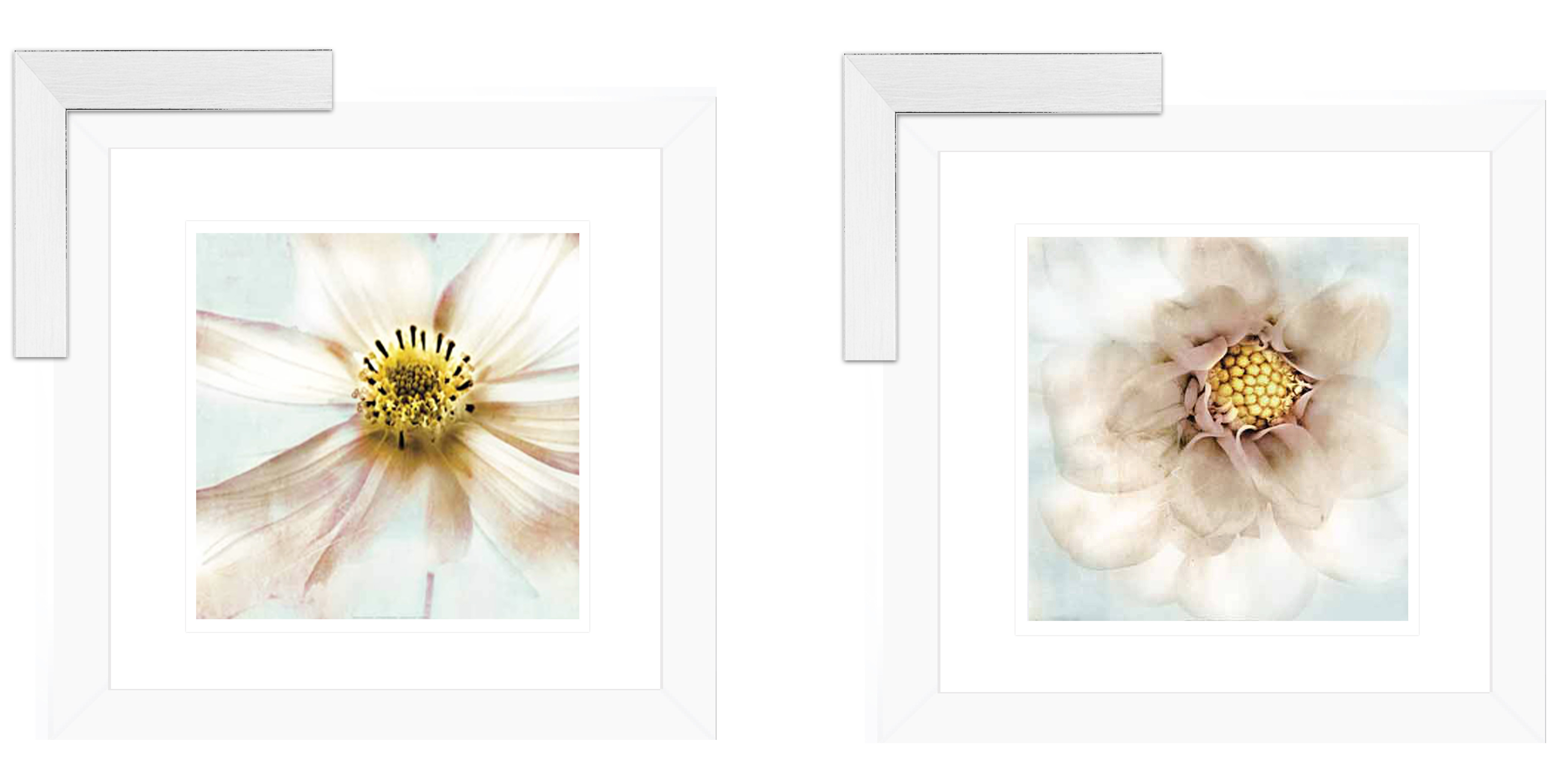 FP230 Wall décor art framed print set of 2 floral white frame